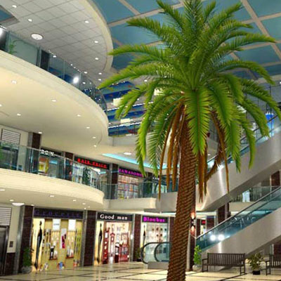 Shopping Complex , Bhiwani, Haryana